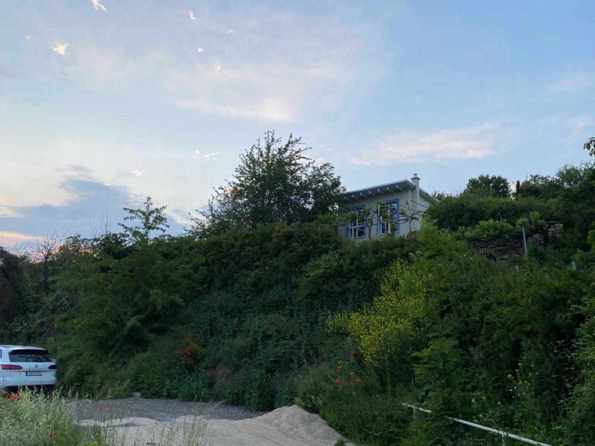 Weinbergshaus Mit Blick Auf'S Wasser Salzatal Buitenkant foto