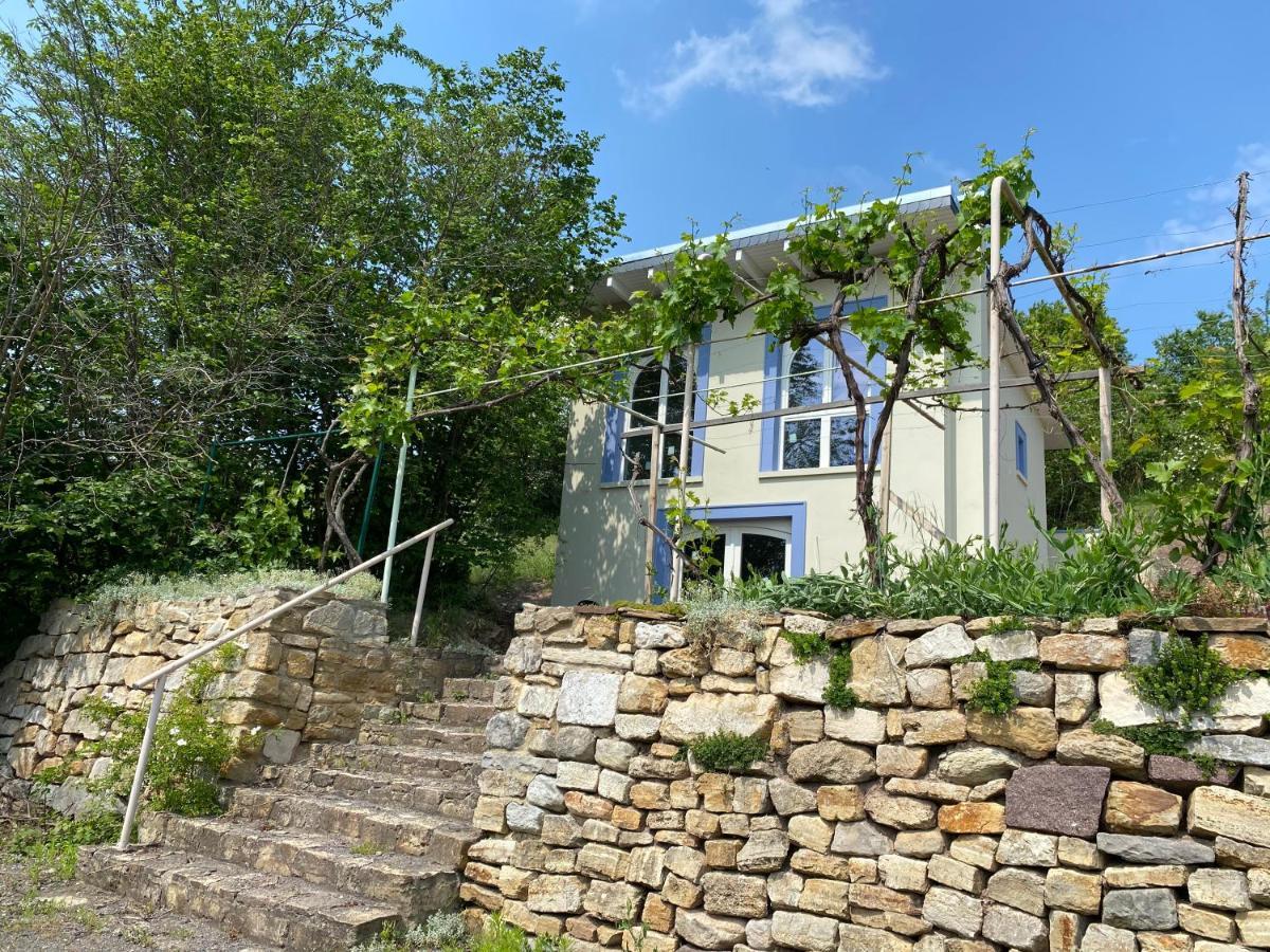 Weinbergshaus Mit Blick Auf'S Wasser Salzatal Buitenkant foto